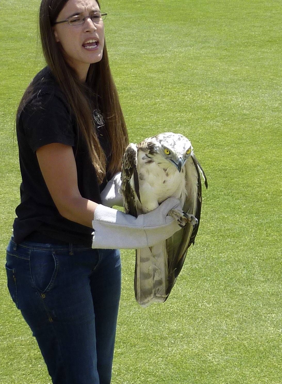 Fábia and Eagle prior to its release at Bela Romão Croquet Club Fábia and Eagle prior to its release at Bela Romão Croquet Club