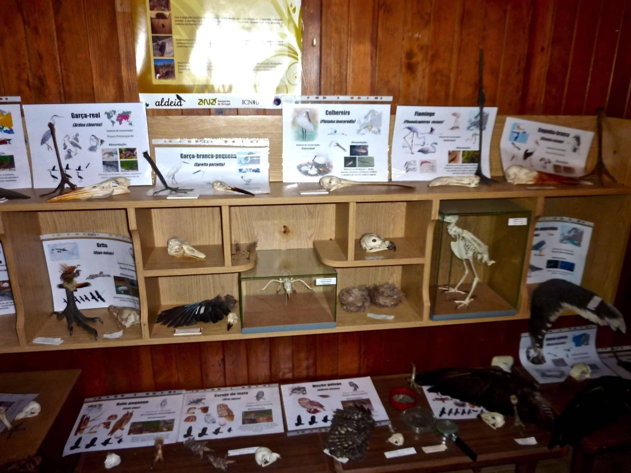 Displays in the Information Centre Displays in the Information Centre