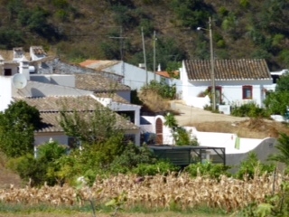 Village Houses