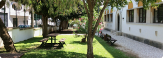 Primary School Complex Primary School Complex