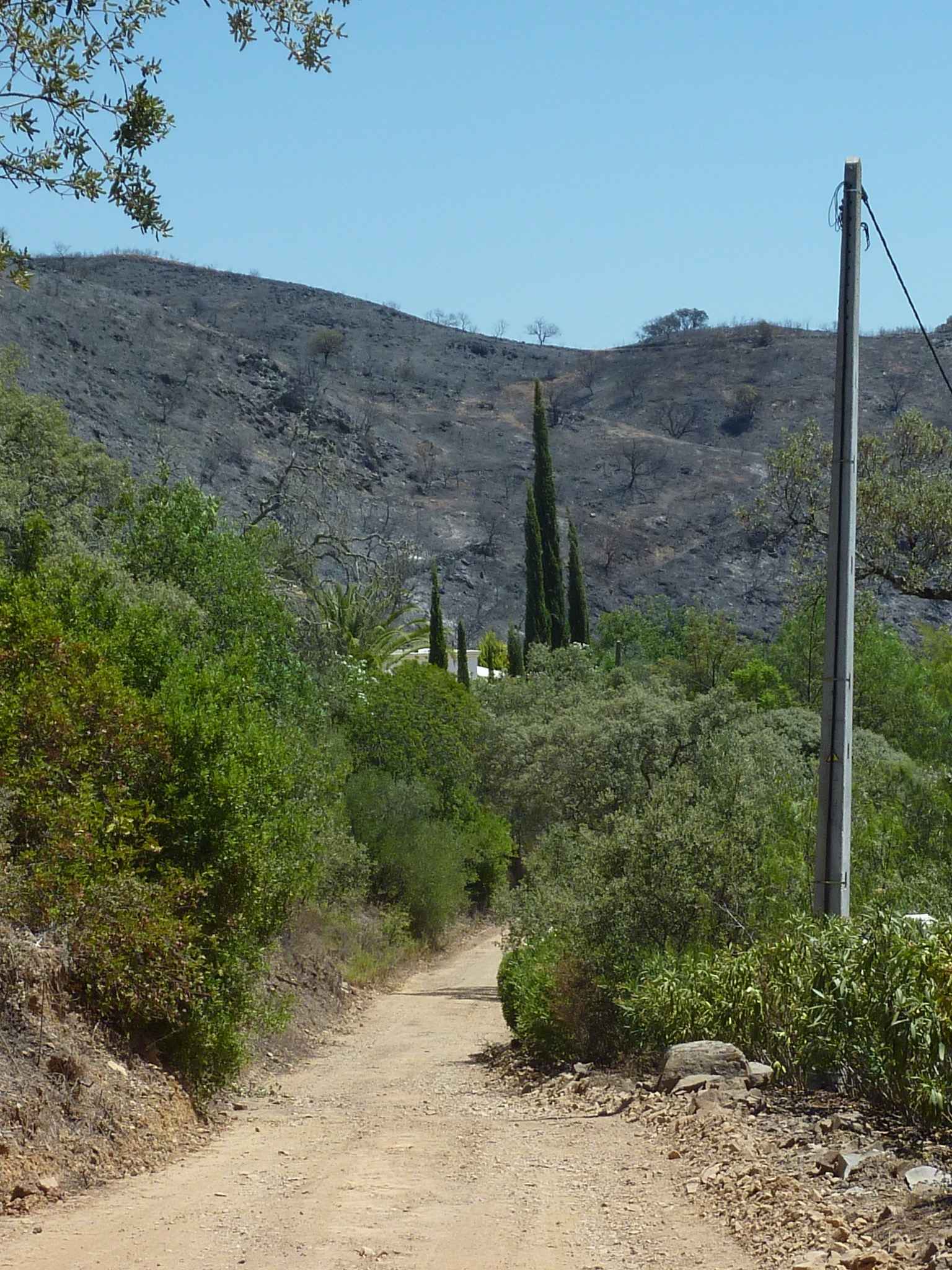 Track to Our House Track to Our House